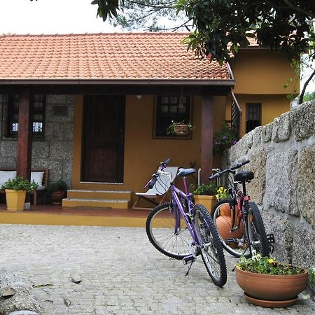 Leiras Do Seixo - Casa Dos Tinos Villa Amarante Ngoại thất bức ảnh